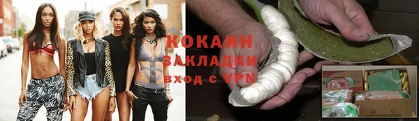 дмт Абаза