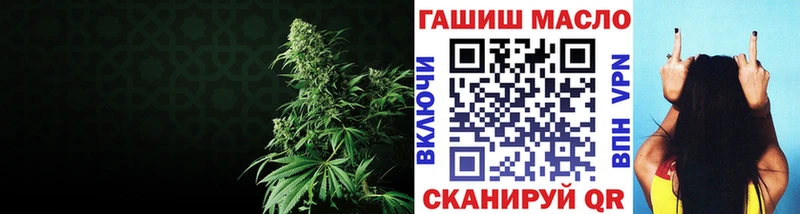 mega tor  цены наркотик  Куртамыш  ТГК THC oil 